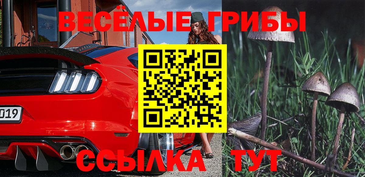 Галлюциногенные грибы GOLDEN TEACHER  Вход с VPN  Псилоцибиновые грибы ЛСД  Кумертау 